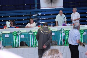Wiltshire & District Cat Club Show 2009 Pictures by Paul Marshall